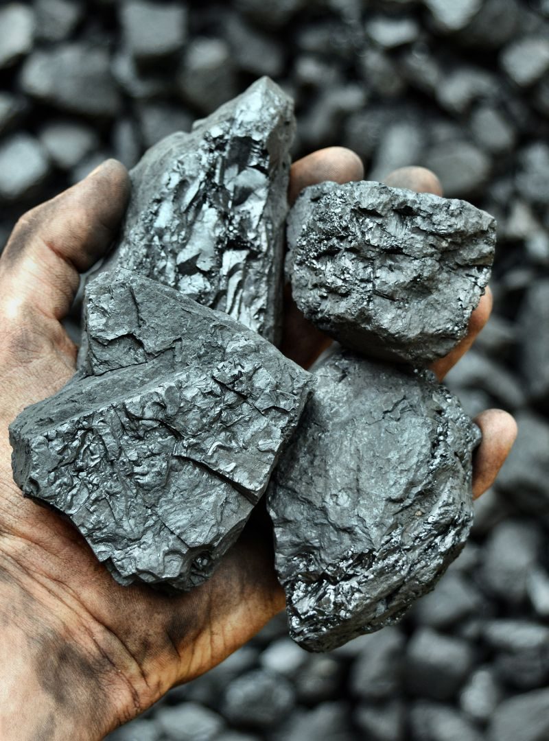 Dana Brata Luhur (TEBE) Starts Trading 7,400 MT of Coal